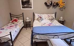 B&B Miele